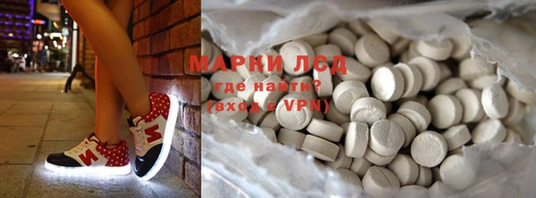 индика Арсеньев