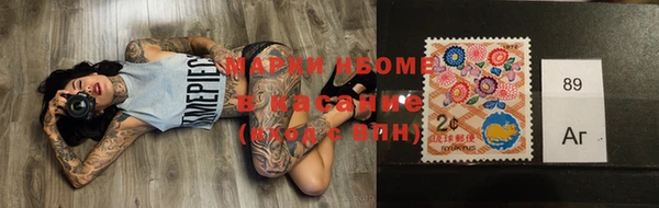 индика Арсеньев