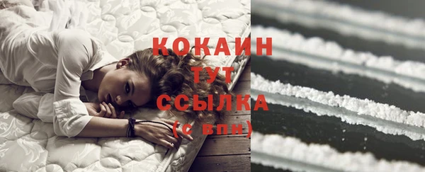 индика Арсеньев