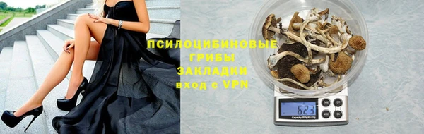 индика Арсеньев