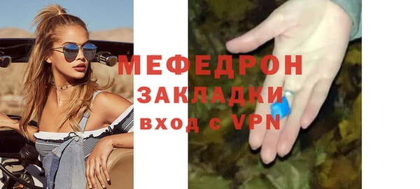 индика Арсеньев