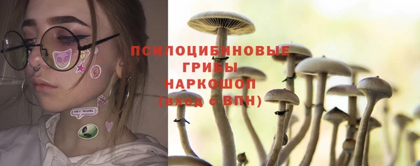 индика Арсеньев