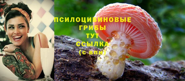 индика Арсеньев