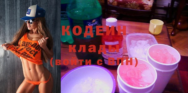 индика Арсеньев