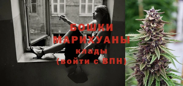 сатива Армянск