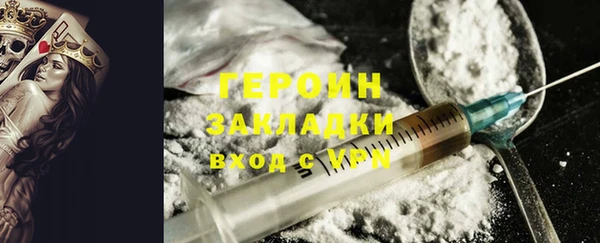 индика Арсеньев