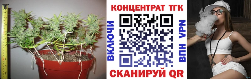 ТГК вейп с тгк  продажа наркотиков  omg tor  Терек 