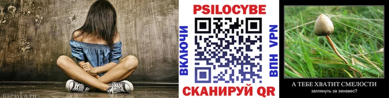 купить наркотики сайты  Терек  Галлюциногенные грибы ЛСД 